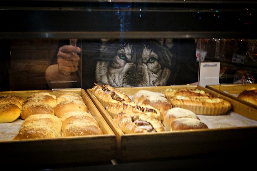 Aprovechar el momento: un fotógrafo que se da cuenta de todo