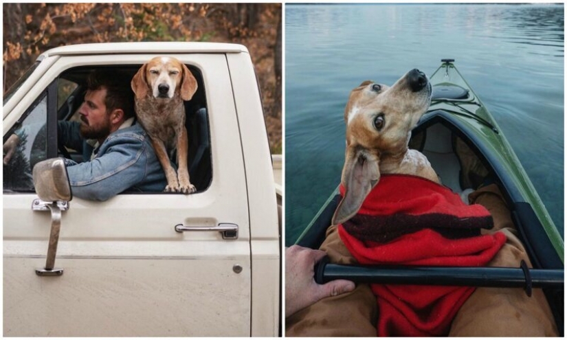 As a traveling photographer Theron Humphrey and his dog Maddie As a traveling photographer Theron Humphrey and his dog Maddie