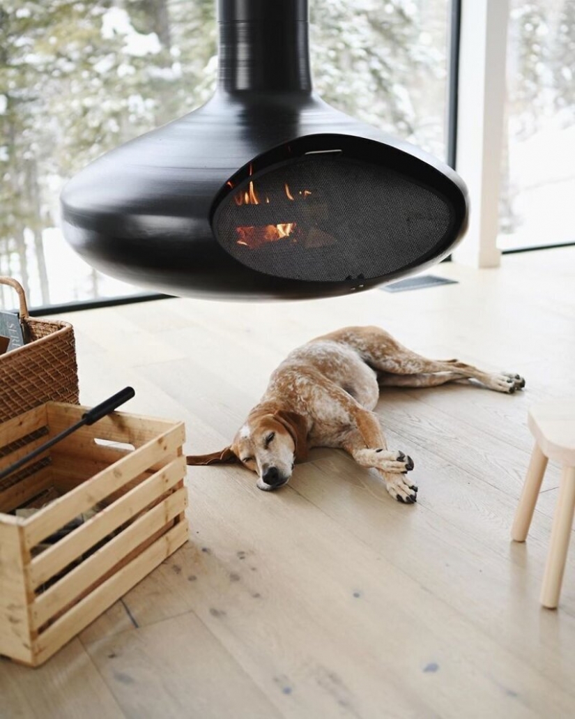 As a traveling photographer Theron Humphrey and his dog Maddie As a traveling photographer Theron Humphrey and his dog Maddie