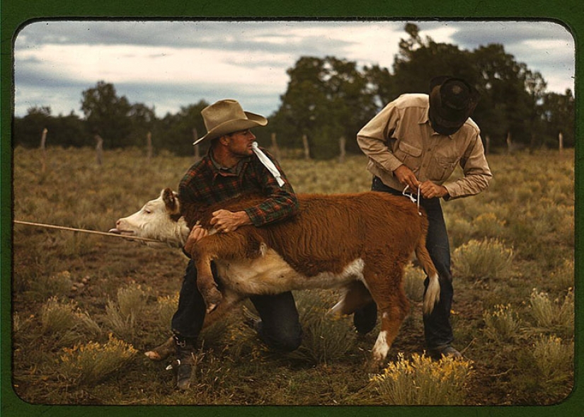 As Americans experienced its most devastating crisis — the Great depression