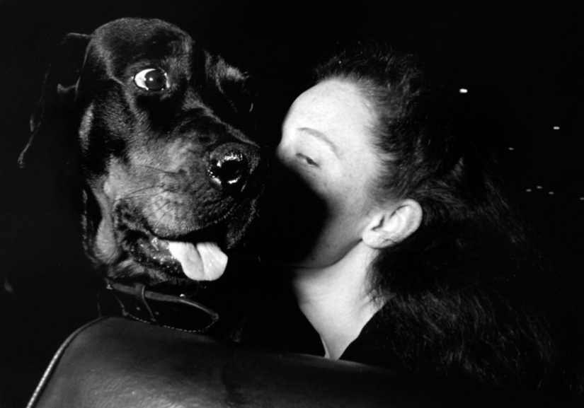 As famous a cab driver from new York As famous a cab driver from new York