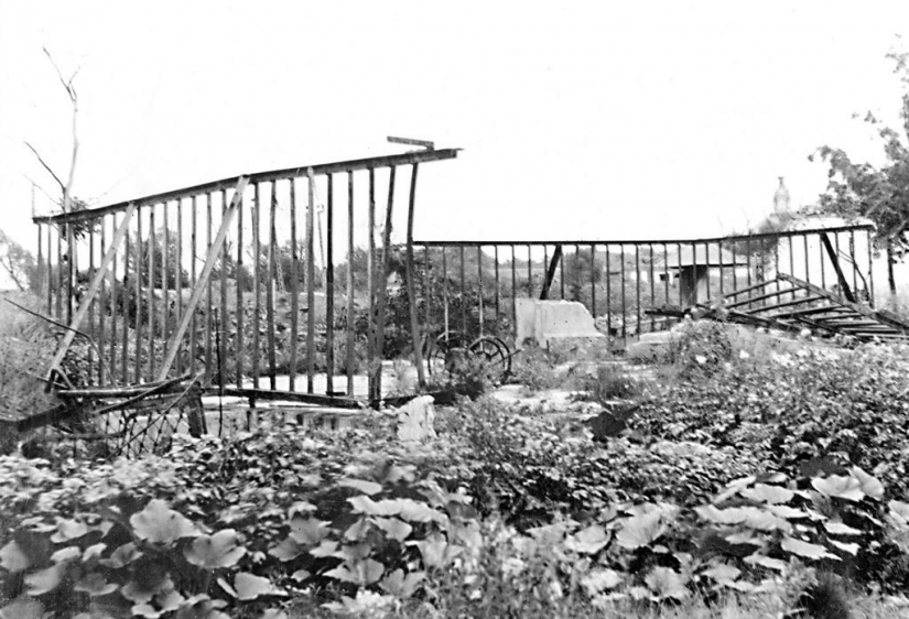 As the Leningrad zoo survived the siege As the Leningrad zoo survived the siege