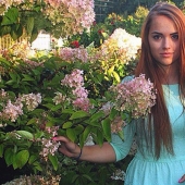 Aspecto del producto y organizar la solución de los bunkers en los Estados unidos