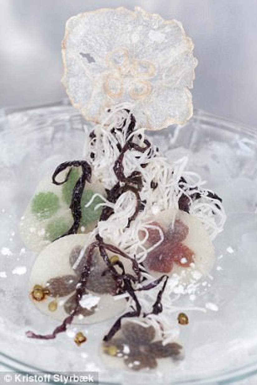 Astrofiziki inventado una nueva forma de hacer las fichas de las medusas Astrofiziki inventado una nueva forma de hacer las fichas de las medusas