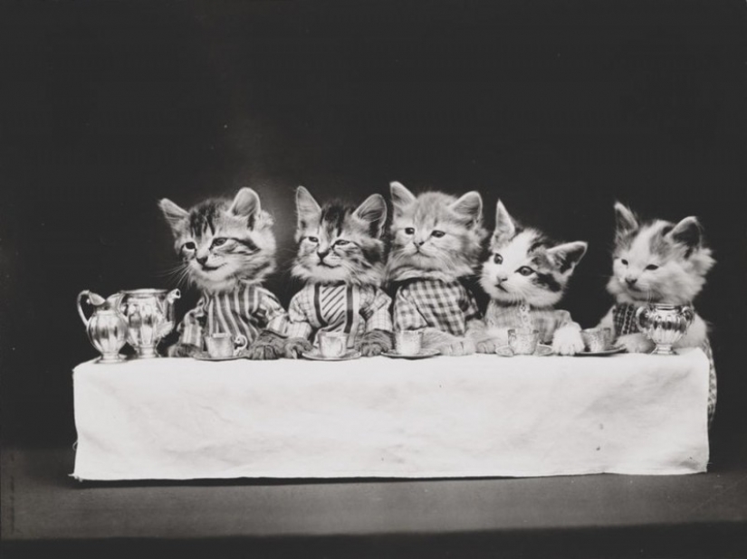 At the beginning of the XX century the Internet was not there, but was really into the lion At the beginning of the XX century the Internet was not there, but was really into the lion