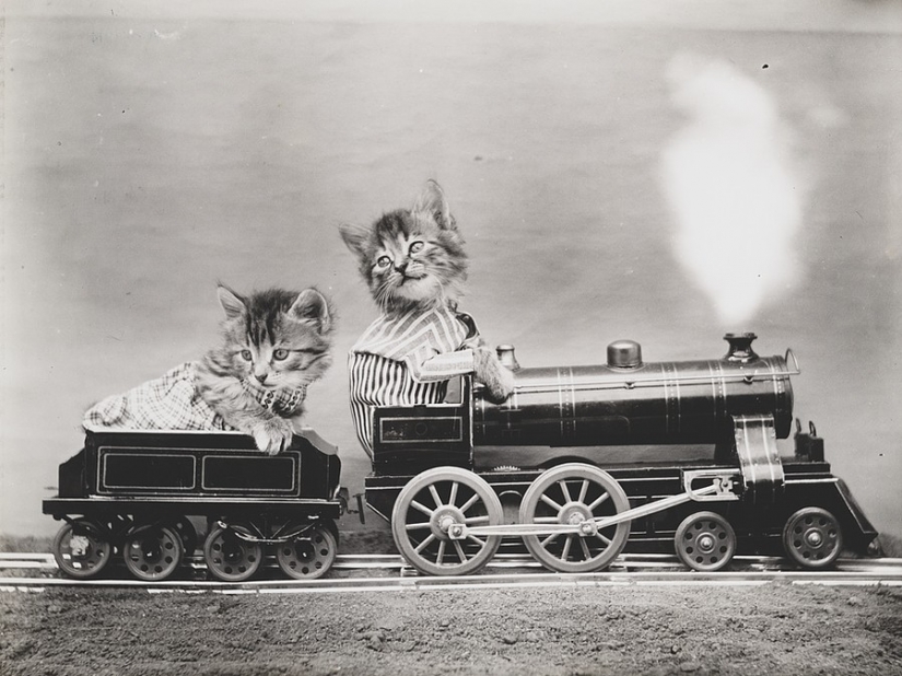 At the beginning of the XX century the Internet was not there, but was really into the lion At the beginning of the XX century the Internet was not there, but was really into the lion