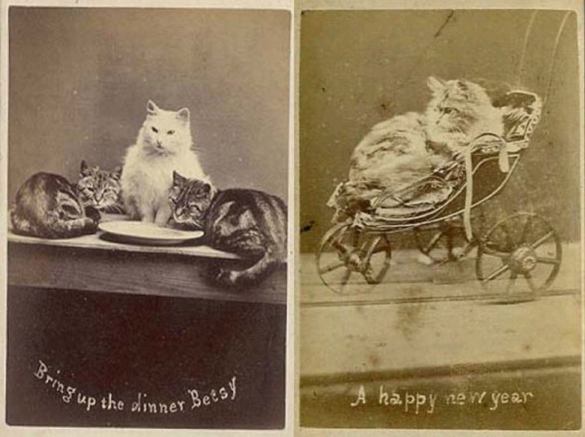 At the beginning of the XX century the Internet was not there, but was really into the lion At the beginning of the XX century the Internet was not there, but was really into the lion