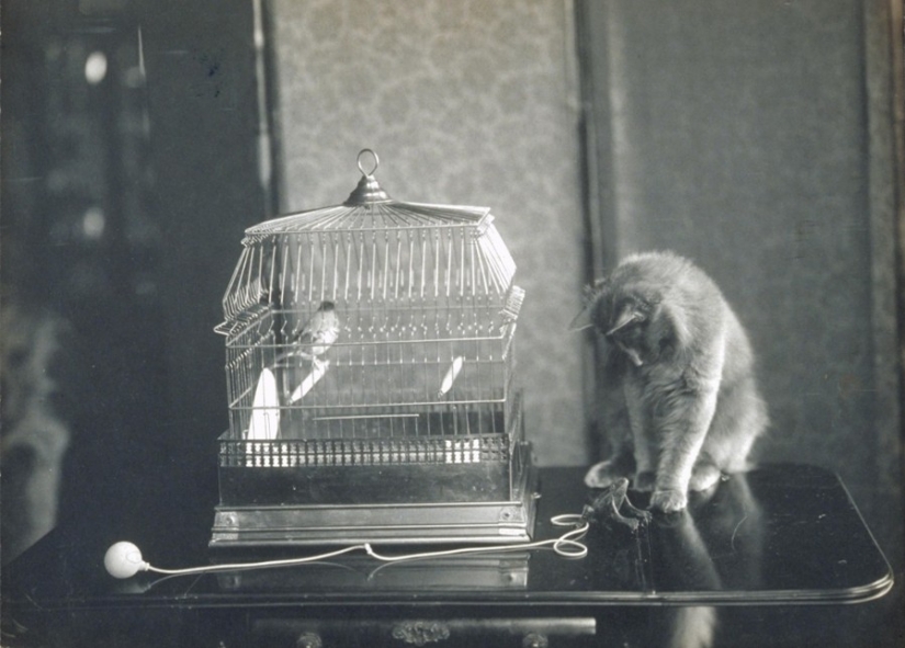 At the beginning of the XX century the Internet was not there, but was really into the lion At the beginning of the XX century the Internet was not there, but was really into the lion