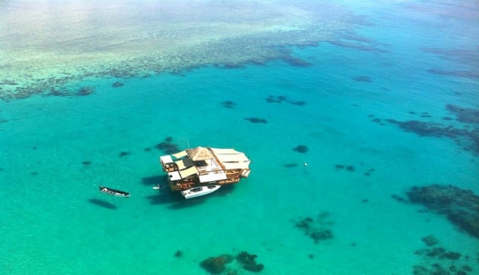 Awesome floating bar in Fiji Awesome floating bar in Fiji