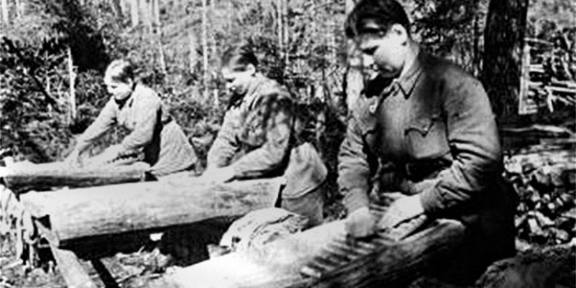 BANNO-laundries industrial complexes, public house, or "factory clean", which forged the Great Victory? BANNO-laundries industrial complexes, public house, or "factory clean", which forged the Great Victory?