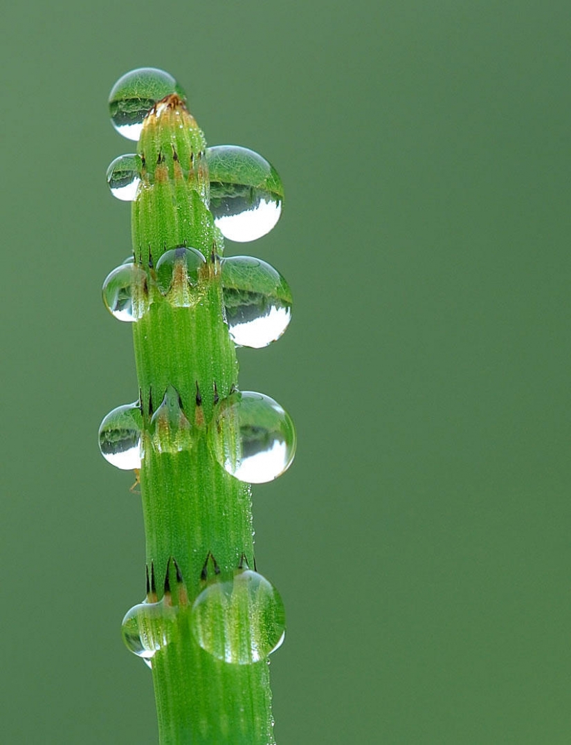 Beautiful drops: 12 examples of gulali Beautiful drops: 12 examples of gulali
