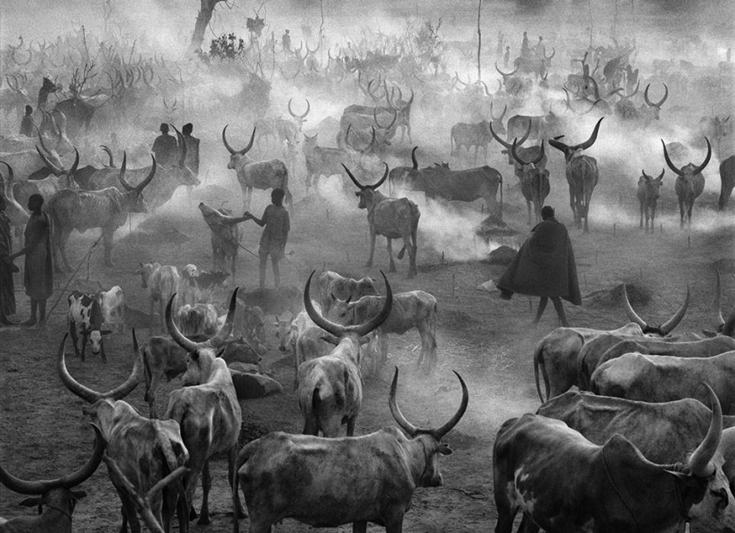 Beautiful pictures of places untouched by man