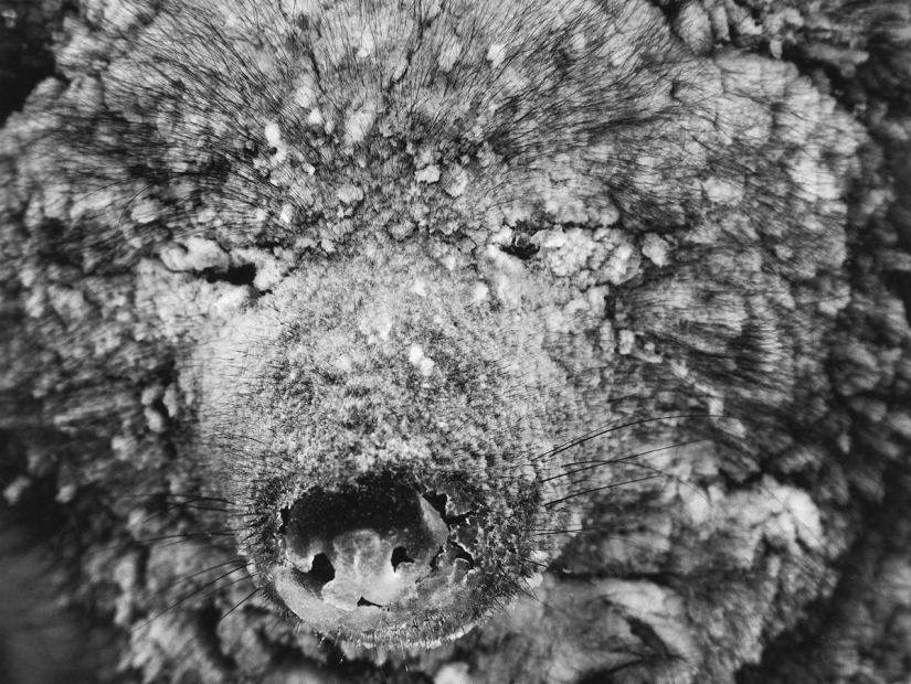 Beautiful pictures of places untouched by man