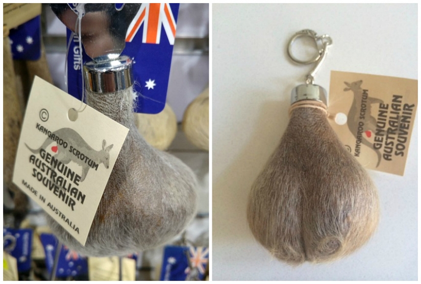 Beer made from elephant dung and scrotum kangaroo: 9 of the strangest Souvenirs