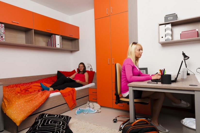 Beer on exams and grant for the cultivation of pot: 9 facts about education in Germany Beer on exams and grant for the cultivation of pot: 9 facts about education in Germany