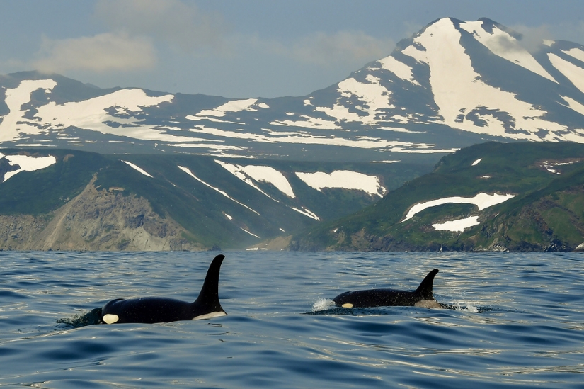 Belleza natural de Kamchatka