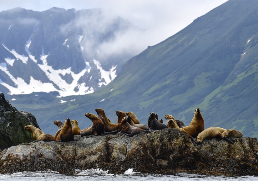 Belleza natural de Kamchatka