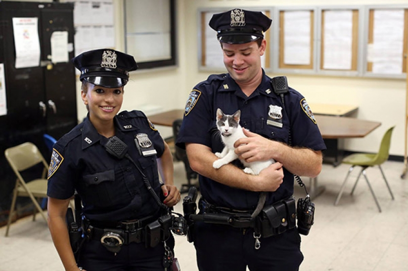 Bellezas en uniforme: la mirada de la mujer de la policía en diferentes países