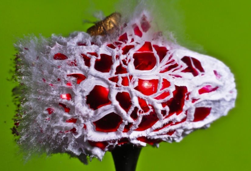 Blow up... the brain!