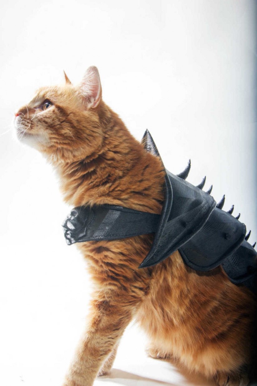 British printed battle armor for a cat