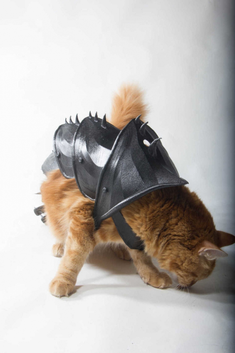 British printed battle armor for a cat