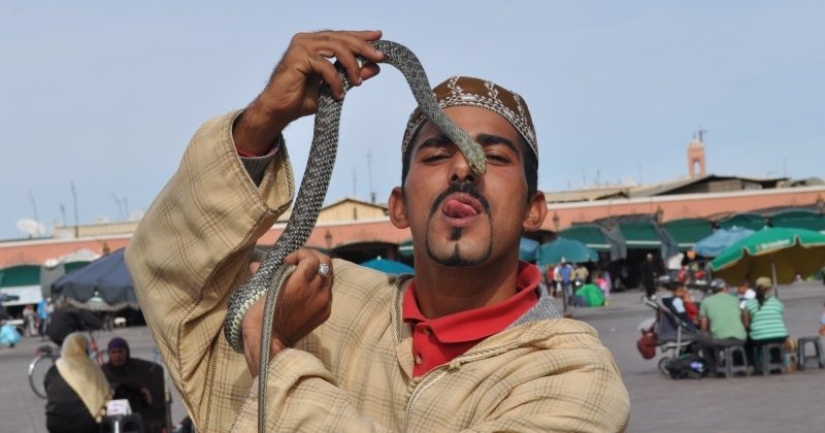 Broma letal: miedo Cobra y murió