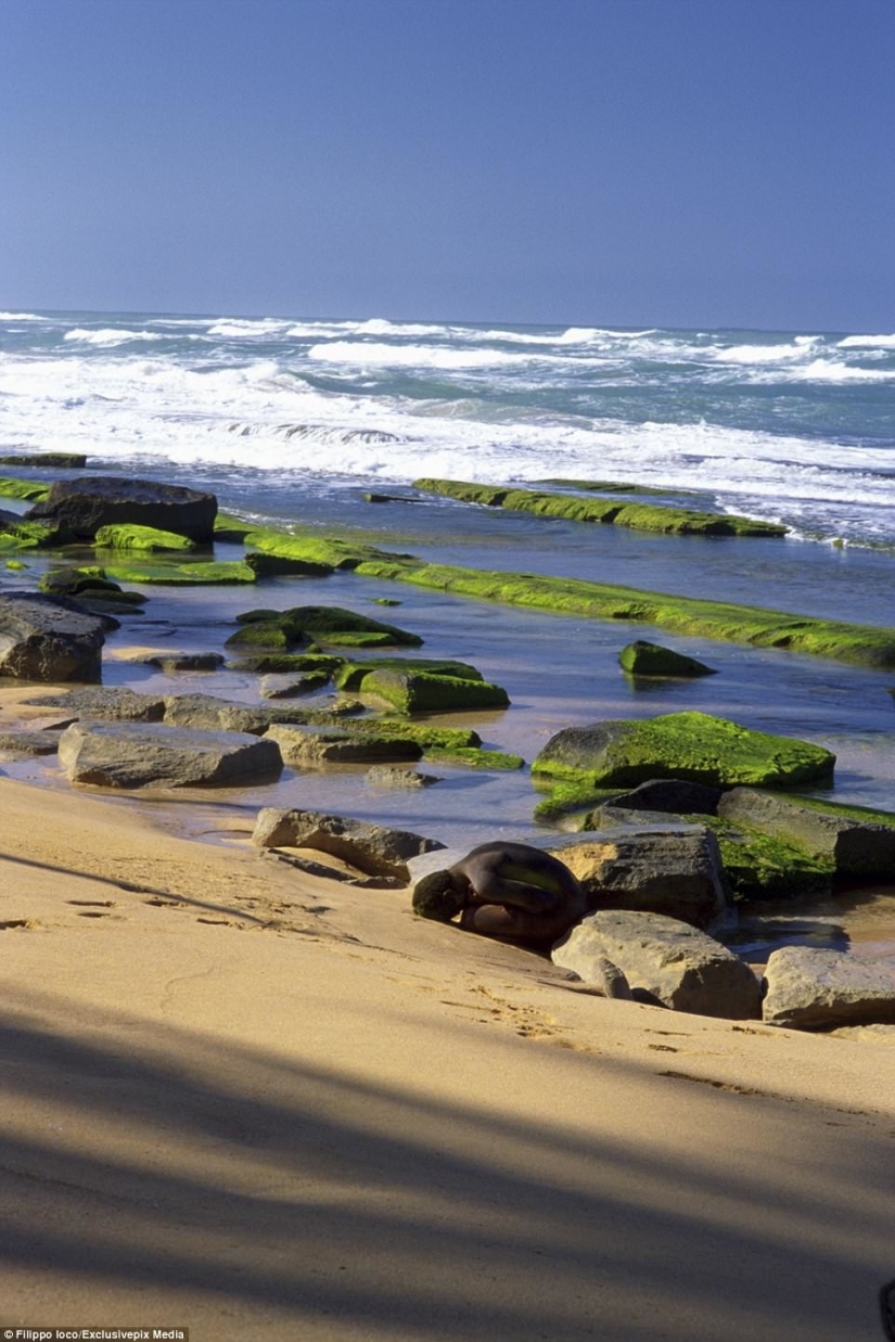 Busque la mujer: modelos desnudas se mezclan con el paisaje