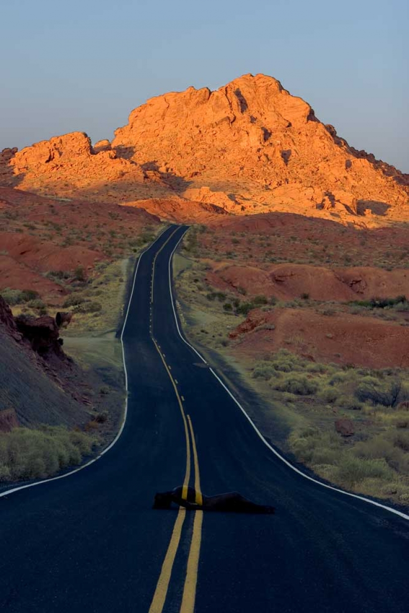 Busque la mujer: modelos desnudas se mezclan con el paisaje