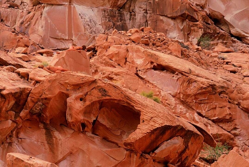 Busque la mujer: modelos desnudas se mezclan con el paisaje