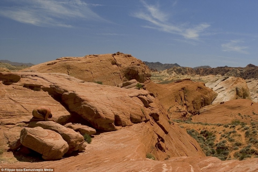 Busque la mujer: modelos desnudas se mezclan con el paisaje