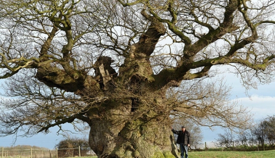 Capacidad de planificar para los próximos 500 años, o lo que la fuerza de la gran Bretaña