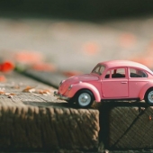 Cariño, he encogido a los recién casados: fotógrafo de bodas en la transformación de los jóvenes enanos