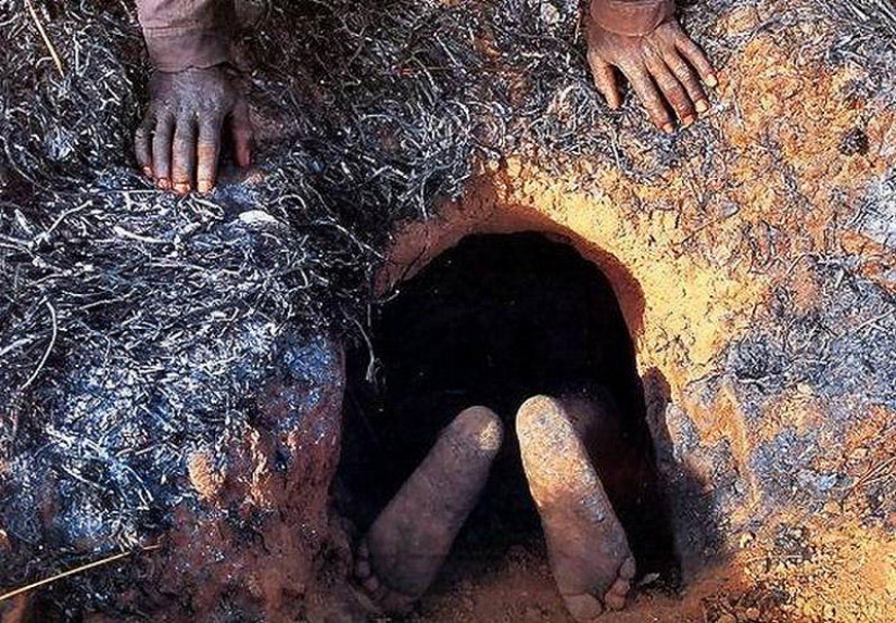 Catching a Python on live bait