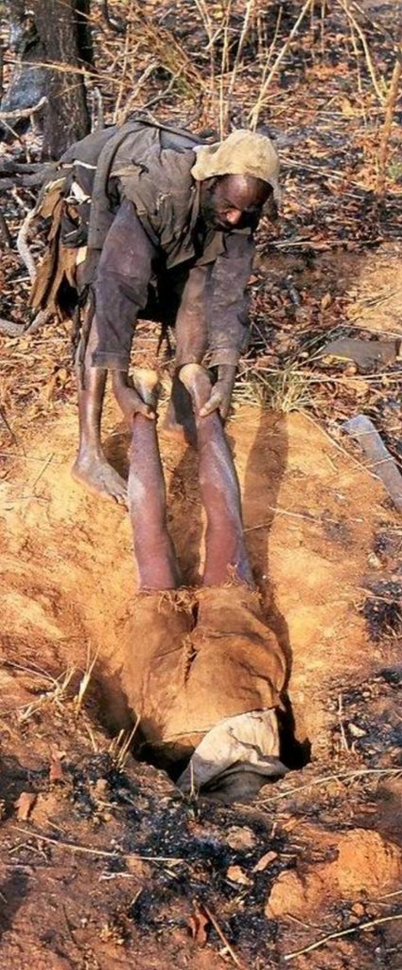 Catching a Python on live bait