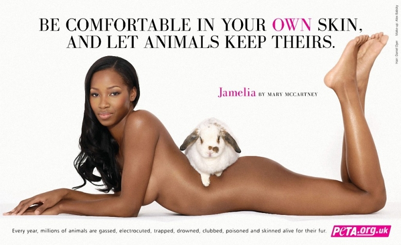 Celebrities who undressed for participation in antimirova campaign PETA