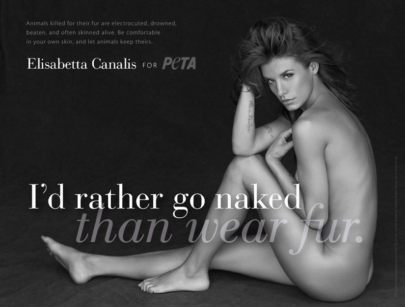 Celebrities who undressed for participation in antimirova campaign PETA