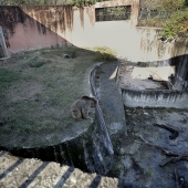 Cerrado un infierno de un zoológico, donde vivía "el más solitario de elefantes en el mundo"