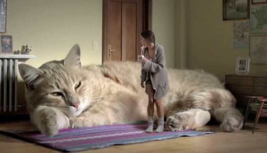 Cinco países sin calefacción Central Cinco países sin calefacción Central