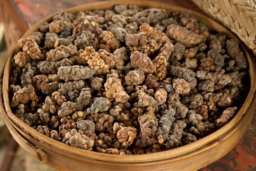 Clasificación de comestibles, no comestibles: los 6 más repugnante delicias de Asia