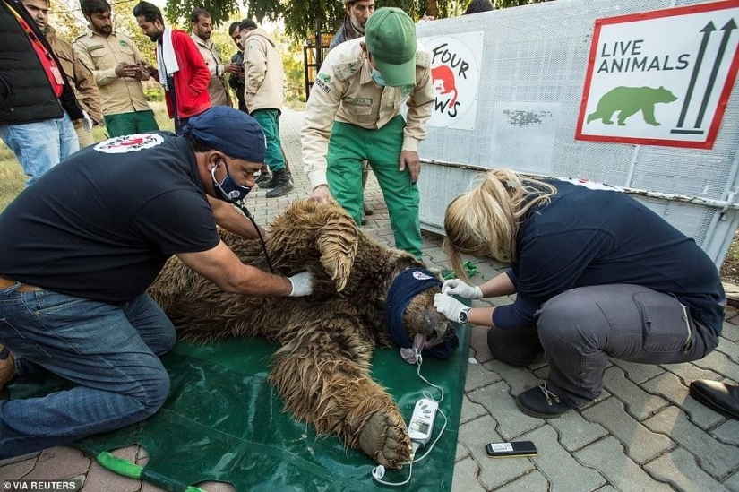 Closed a hell of a zoo, where he lived "the loneliest elephant in the world"