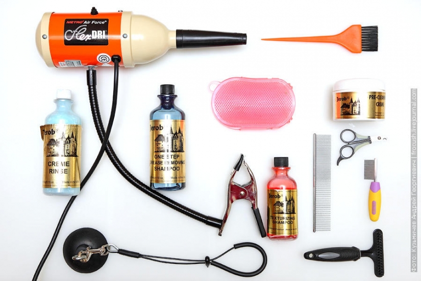 Cómo bañar a un gato y a vivir