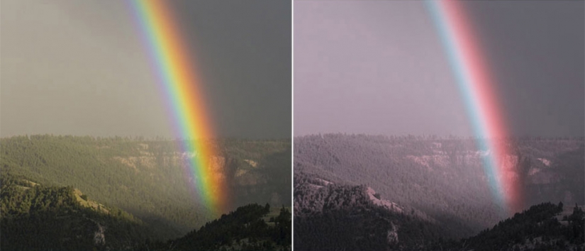 Cómo el mundo se ve a través de los ojos de un daltónico