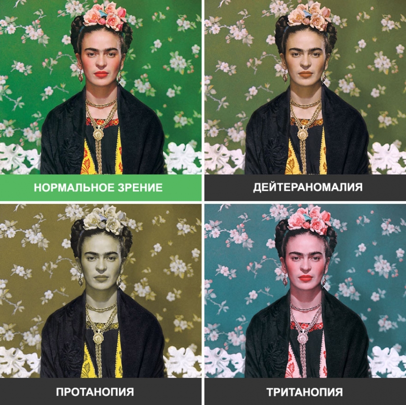 Cómo el mundo se ve a través de los ojos de un daltónico