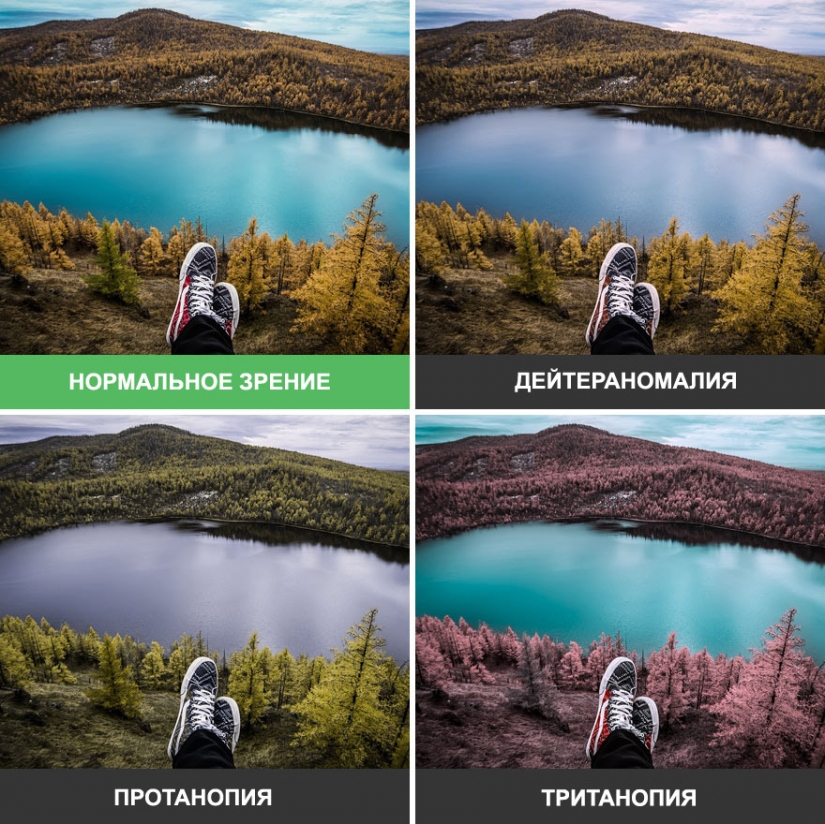 Cómo el mundo se ve a través de los ojos de un daltónico