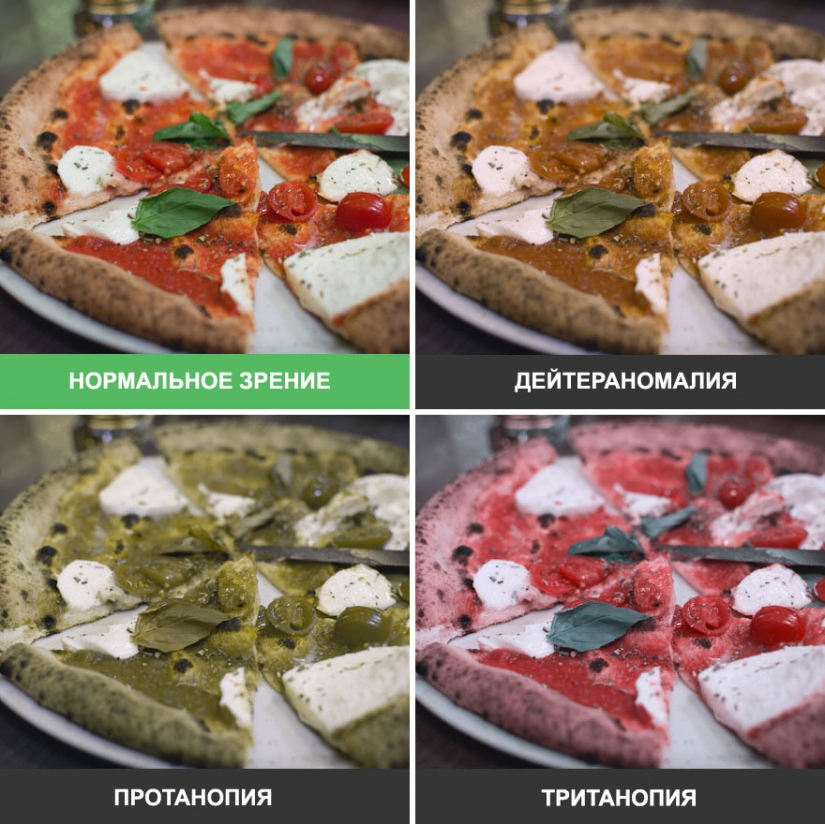 Cómo el mundo se ve a través de los ojos de un daltónico