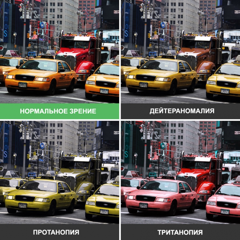 Cómo el mundo se ve a través de los ojos de un daltónico