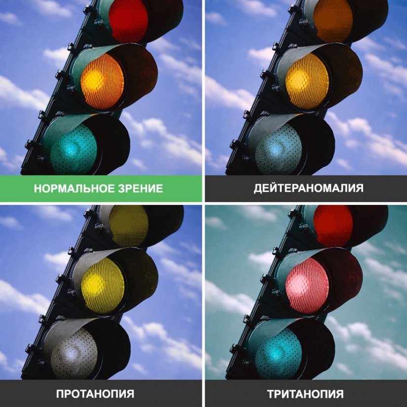 Cómo el mundo se ve a través de los ojos de un daltónico