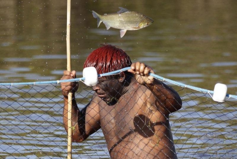 Cómo ir de pesca y caza de los Indios de la Amazonía