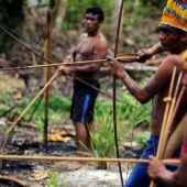 Cómo ir de pesca y caza de los Indios de la Amazonía