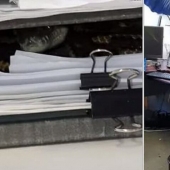 Como Australia Python decidió trabajar en la oficina